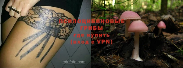 мескалин Дмитровск