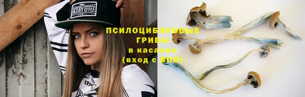 первитин Дмитриев