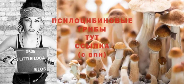 первитин Дмитриев