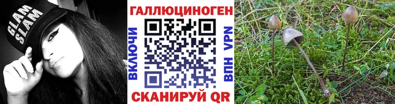 купить наркотики сайты Карабаш Псилоцибиновые грибы Psilocybine cubensis
